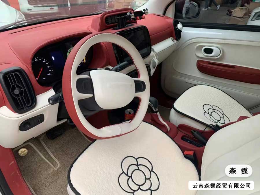 原車升級真皮座椅